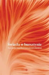Światła w bursztynie - Opracowanie zbiorowe