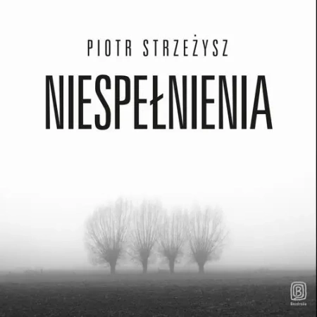 audiobook Niespełnienia - Piotr Strzeżysz