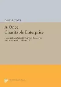 A Once Charitable Enterprise - David Rosner