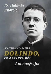 eBook Nazwano mnie Dolindo, co oznacza ból - Ks. Dolindo Ruotolo mobi epub