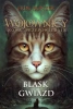 Wojownicy T.10 Blask gwiazd - Erin Hunter