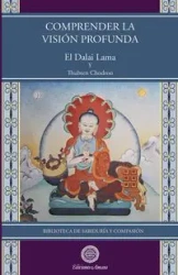 Comprender la visión profunda - Lama El Dalai