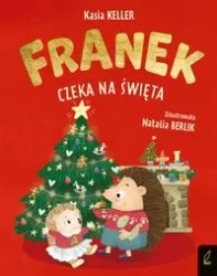 Franek czeka na święta - Katarzyna Keller