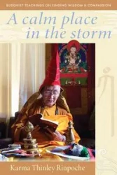 A Calm Place in the Storm - Karma Thinley Rinpoche