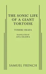A Sonic Life of a Giant Tortoise - Okada Toshiki