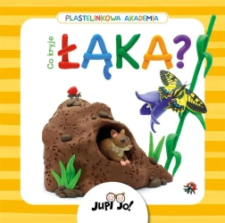 Plastelinkowa akademia. Co kryje łąka? - Magdalena Młodnicka, Paulina Koniuk-Fonżychowska