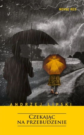 Czekając na przebudzenie - Andrzej Lipski