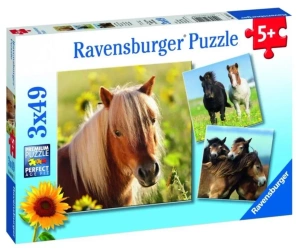 Puzzle 3x49 Konie - Ravensburger