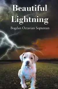 Beautiful Lightning - Bogdan Sopterean Octavian