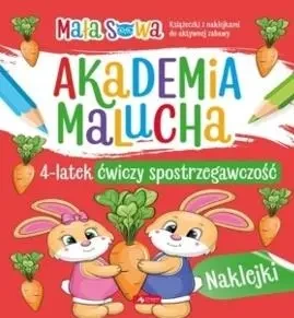 Akademia malucha. 4latek ćwiczy spostrzegawczość - pracaz biorowa