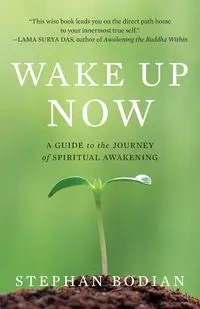 Wake Up Now - Stephan Bodian