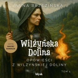 audiobook Opowieści z Wilżyńskiej Doliny - Anna Brzezińska