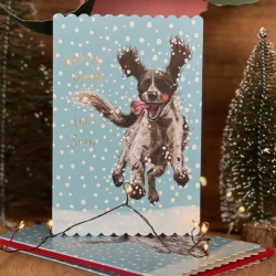 Karnet Święta Spaniel w śniegu - Alex Clark