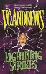 Lightning Strikes - Andrews V. C.