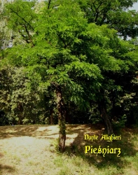 eBook Pieśniarz - Dante Alighieri epub mobi