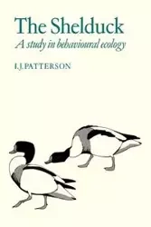 The Shelduck - Patterson I. J.