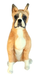 Pies Bokser 65cm - Dubi