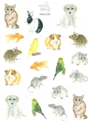 Naklejki Zwierzęta domowe - Mama Maluje