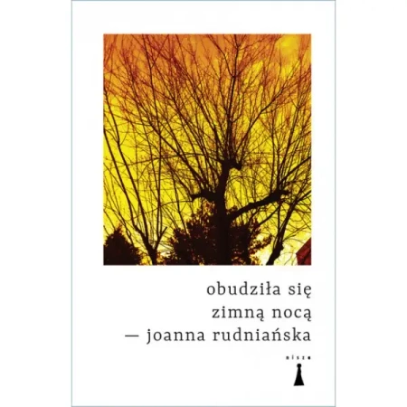 Obudziła się zimną nocą - Joanna Rudniańska