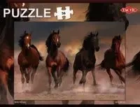 Puzzle 56 Wild Horses - Tactic