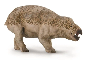 Lisowicia - Collecta