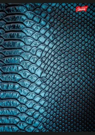 Paczka Zeszyt A5 60k linia after dark mix pakiet 10 sztuk - ST-Majewski