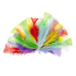 Piórka indycze 10-15cm pastelowe - Brewis