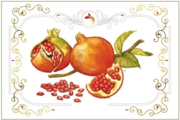 Karnet 12x18cm + koperta Granat - DaVinci