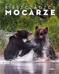 Album Bieszczadzcy mocarze - Walka niedźwiedzi - Mateusz Matysiak