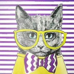 Karnet KW Kot seledyn - Henry