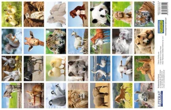 Naklejki Urocze zwierzęta 28szt - LITERAT