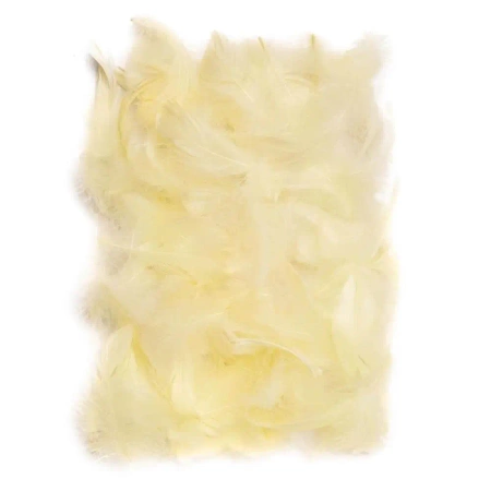 Piórka ecru 5-12cm 10g - Dalprint dpCraft