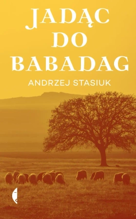 Jadąc do Babadag w.6 - Andrzej Stasiuk