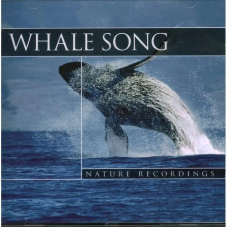 Whale Song - Wieloryby, Nature Recordings CD - CD-CONTACT