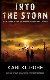 Into the Storm - Kari Kilgore