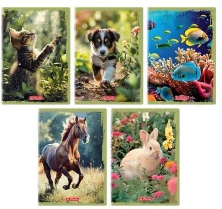 Zeszyt A5/16K gładki Animals (20szt) - HERLITZ