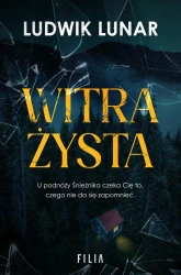 eBook Witrażysta - Ludwik Lunar epub mobi