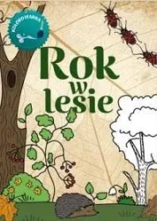 Rok w lesie Kolorowanka - Wojciech Gil