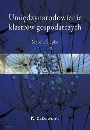 Umiędzynarodowienie klastrów gospodarczych - Marcin Ślepko