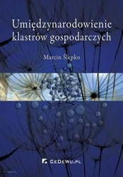 Umiędzynarodowienie klastrów gospodarczych - Marcin Ślepko