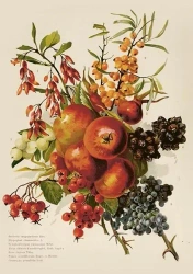 Karnet ST515 B6 + koperta Jesienny bukiet - Skona Ting