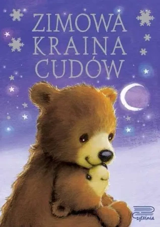 Zimowa kraina cudów - praca zbiorowa