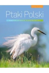 Encyklopedia ilustrowana. Ptaki Polski - Andrzej G. Kruszewicz