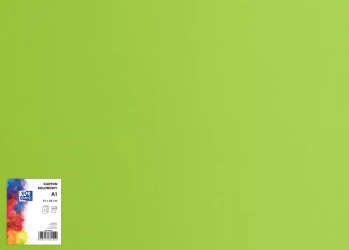 Karton Ozd A1 zielony J.160g Top Fol A 25 Pg