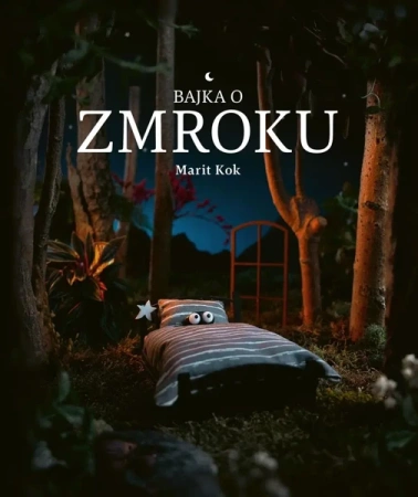Bajka o Zmroku - Marit Kok