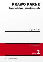 Prawo karne. Zarys instytucji w.2 - Wojciech Cieślak