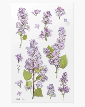 Naklejki ozdobne kwiaty - Bez - Appree