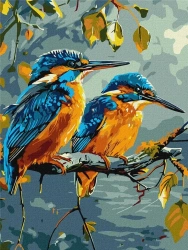 Malowanie po numerach - Skarby natury 30x40cm - Ideyka