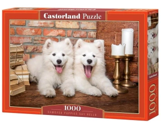 Puzzle 1000 Samoyed Puppies Say Hello CASTOR - Castorland