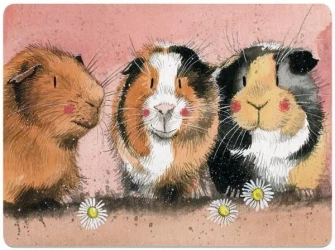 Podkładka pod talerz MT33 Świnki morskie - Alex Clark